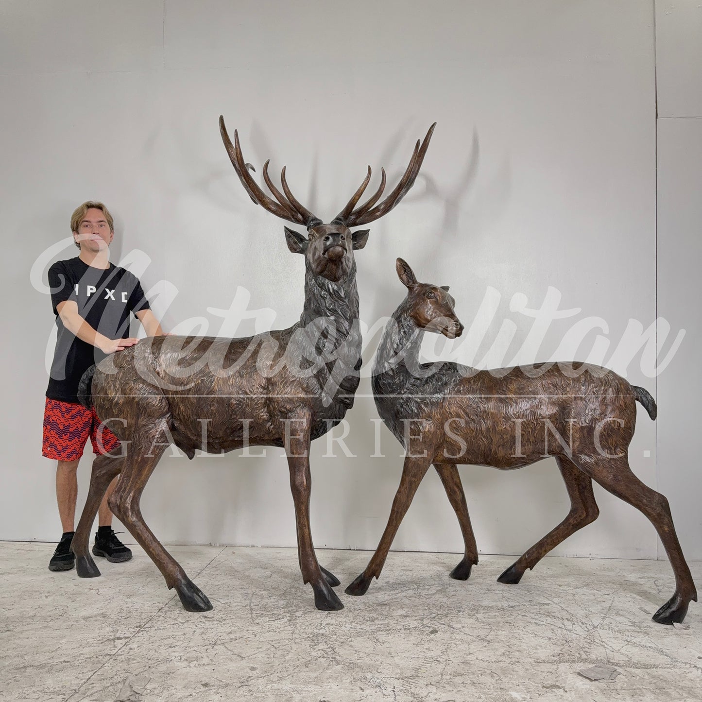Elk & Doe Bronze Statue Set