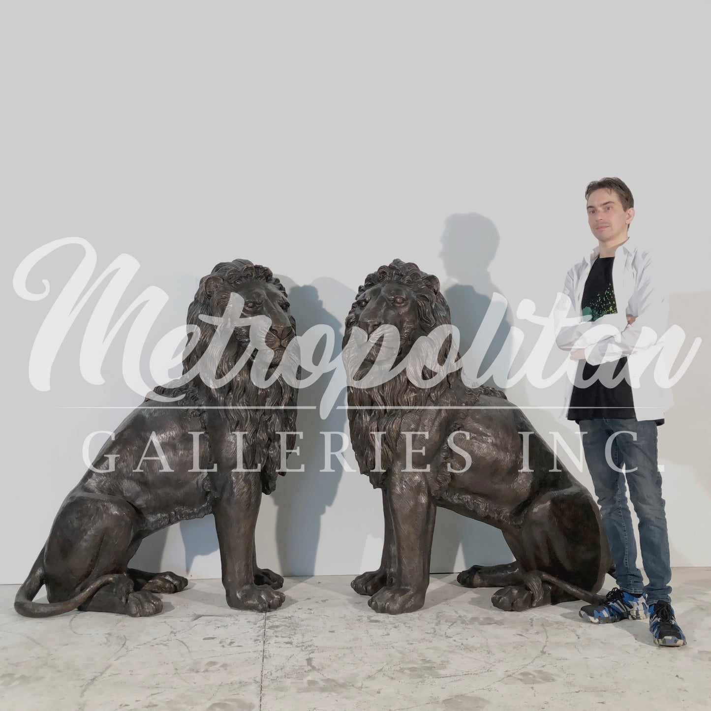 Majestic Sitting Lions Bronze Statue Pair