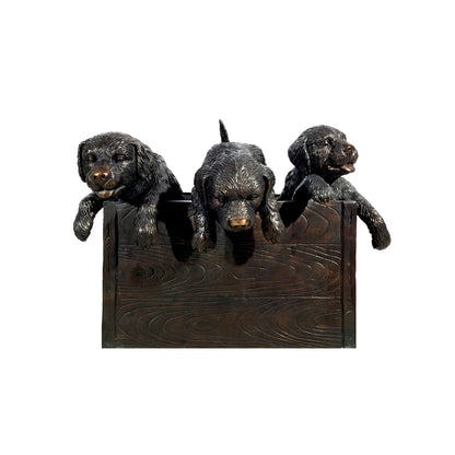 Box of Puppies Bronze Statue