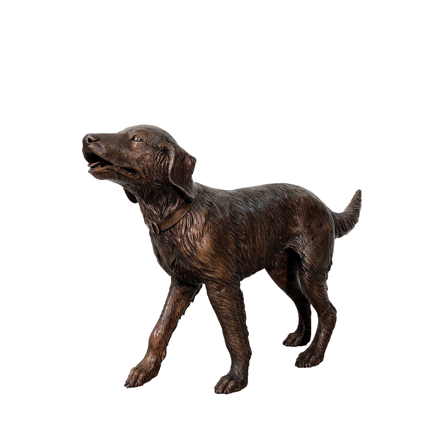 Golden Retriever Dog Bronze Statue