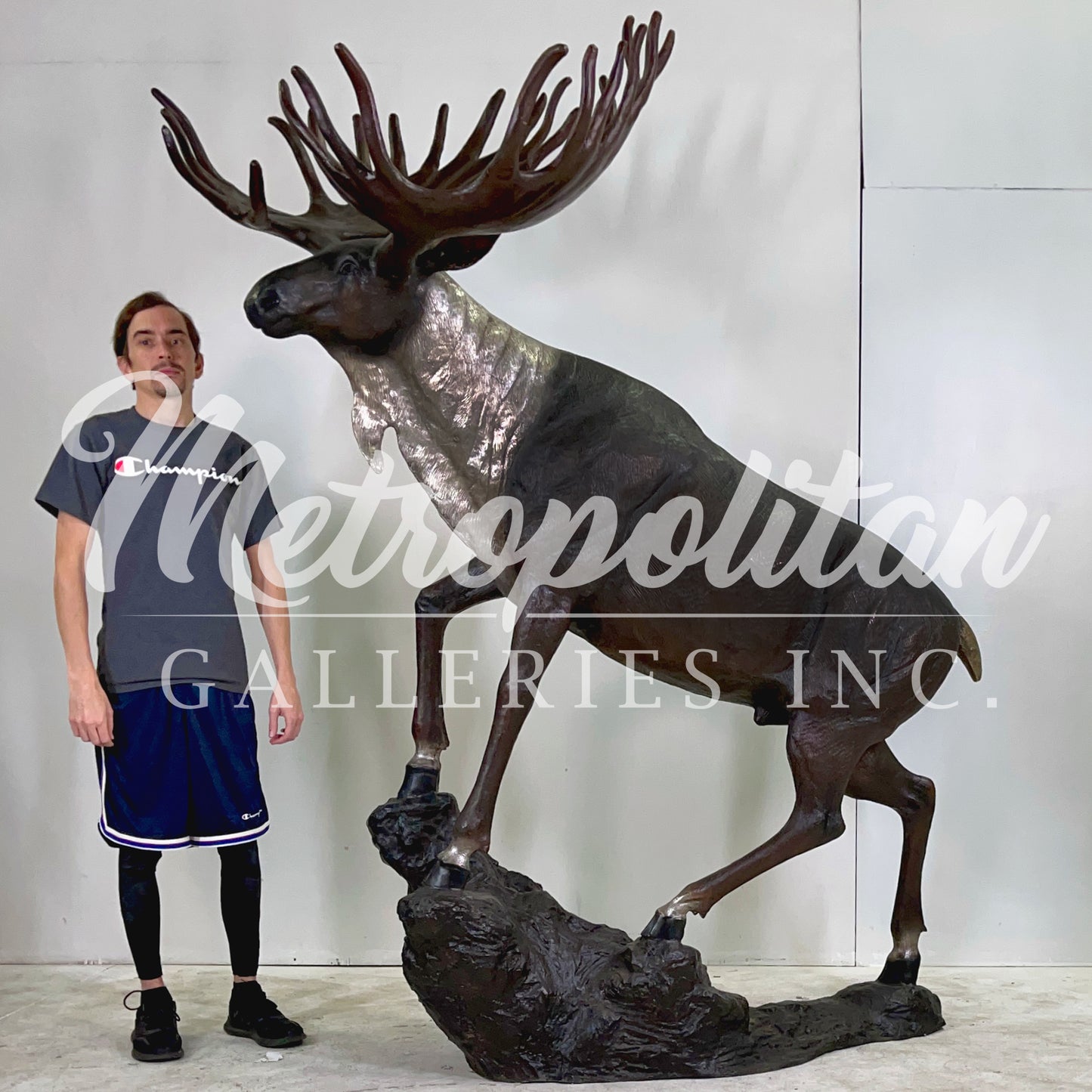 Large Moose on Rock Bronze Statue