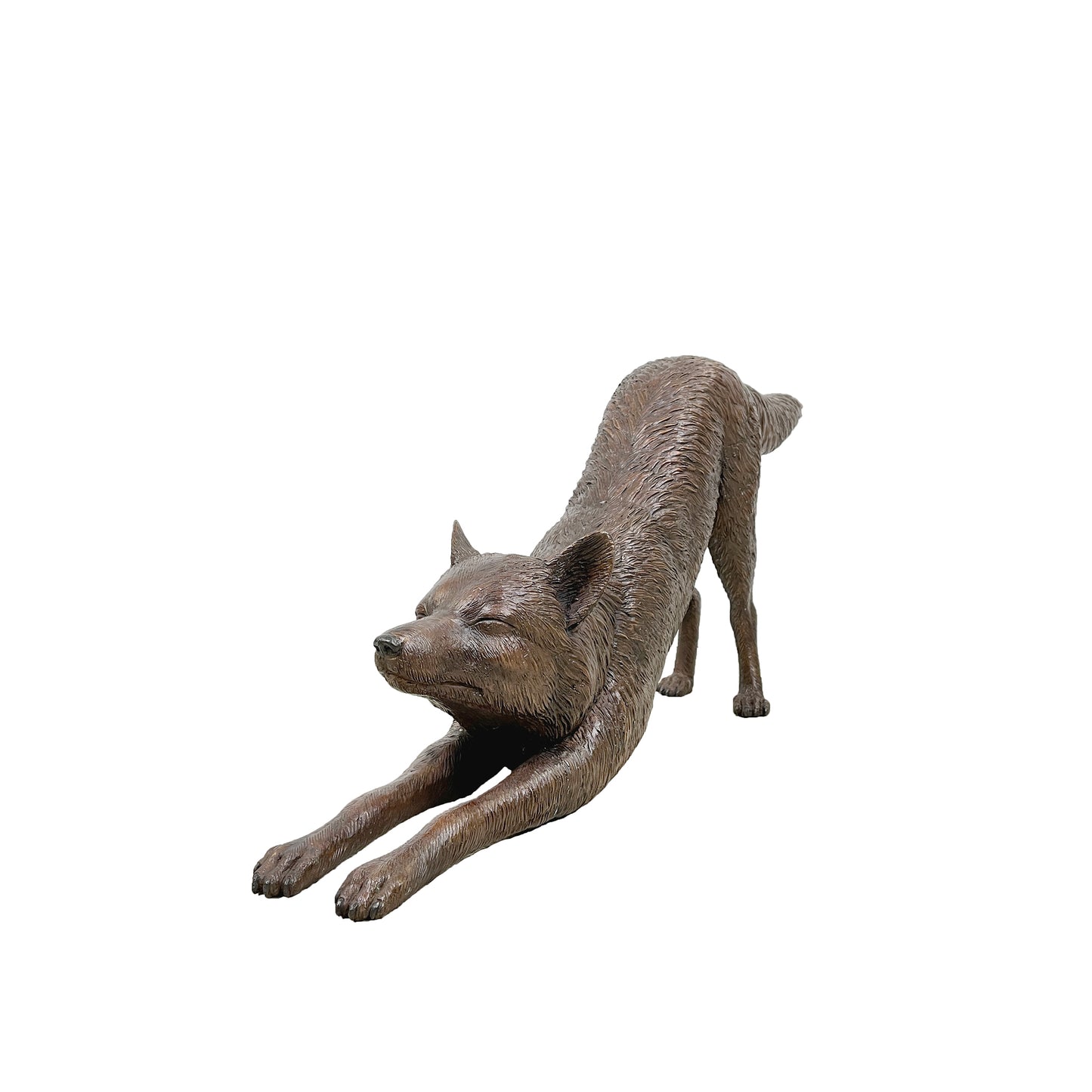 Stretching Fox Bronze Statue