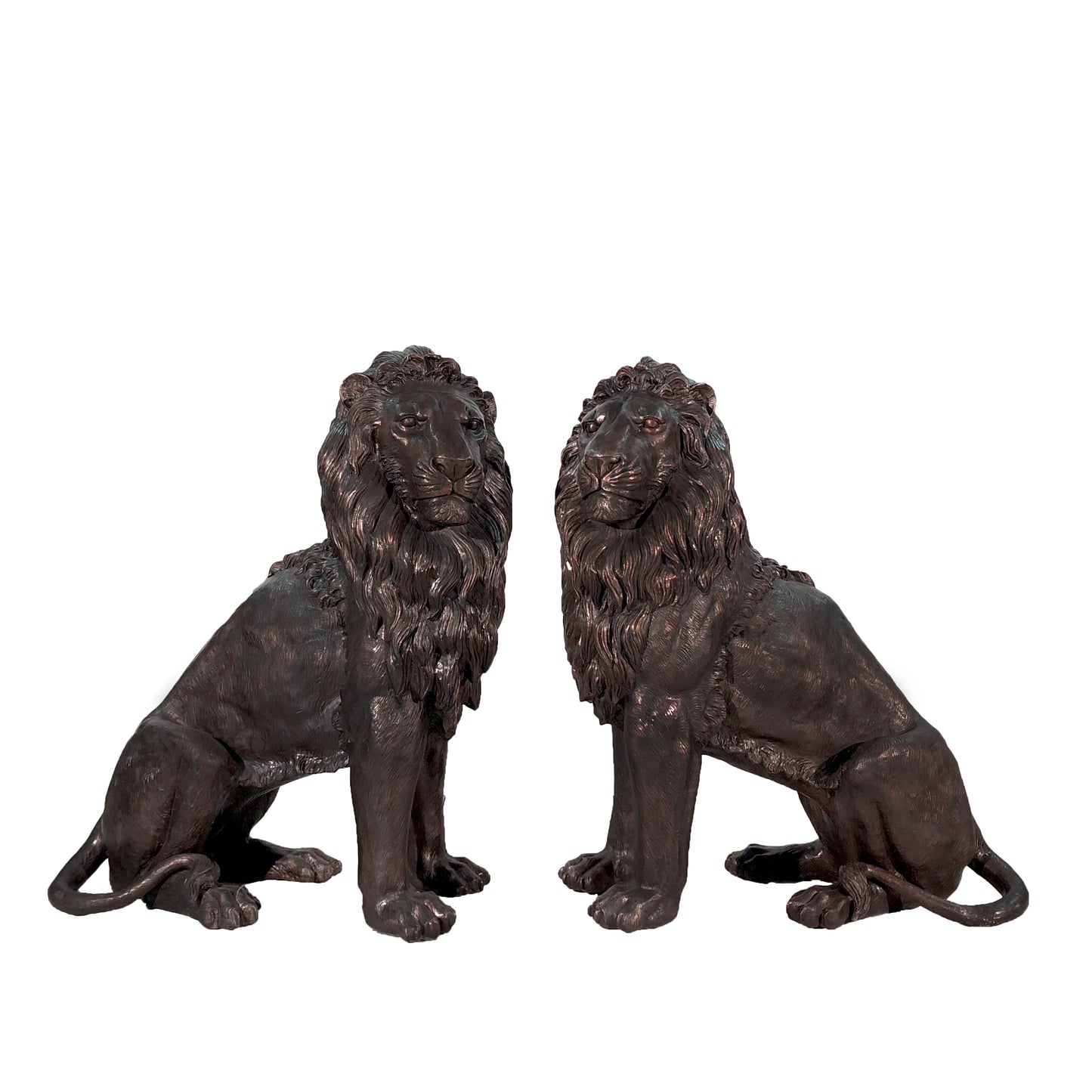 Majestic Sitting Lions Bronze Statue Pair